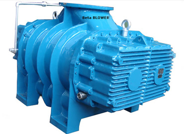 Gas Blowers